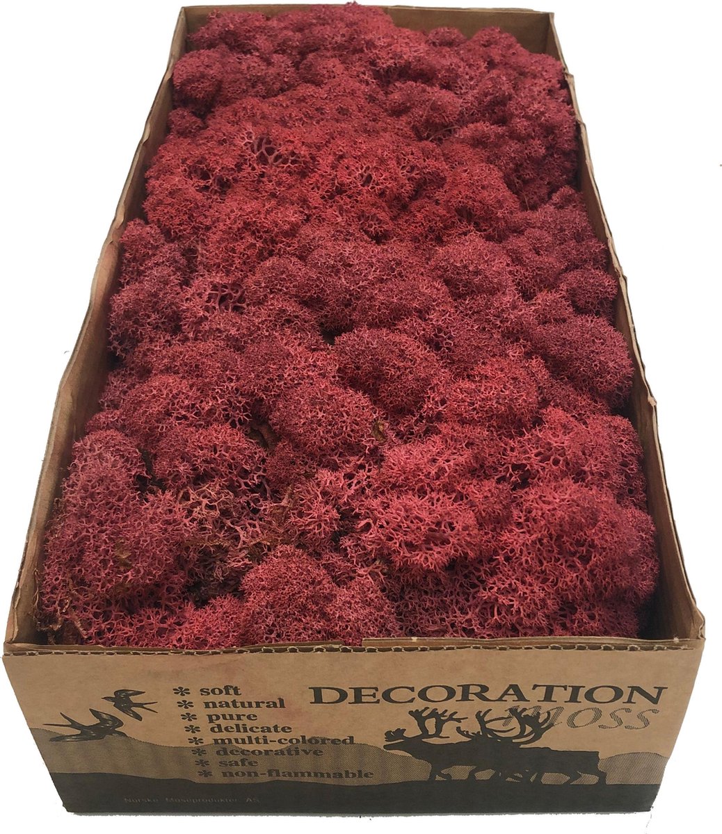 MosBiz Rendiermos Bordeaux per 500 gram voor decoraties
