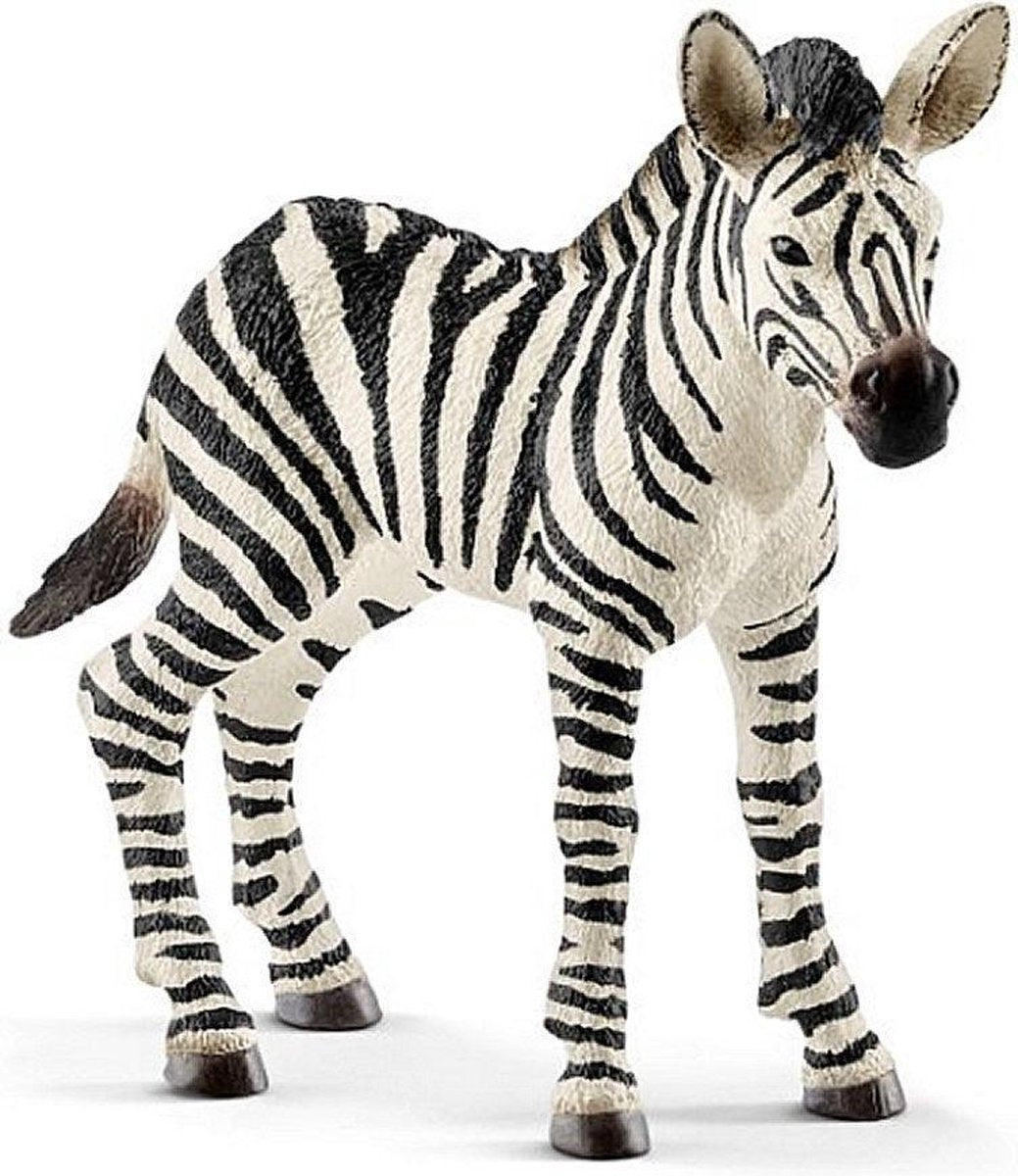 Schleich Zebra Jong