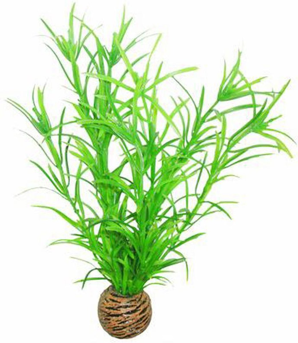 Superfish easy plants middel nr. 3