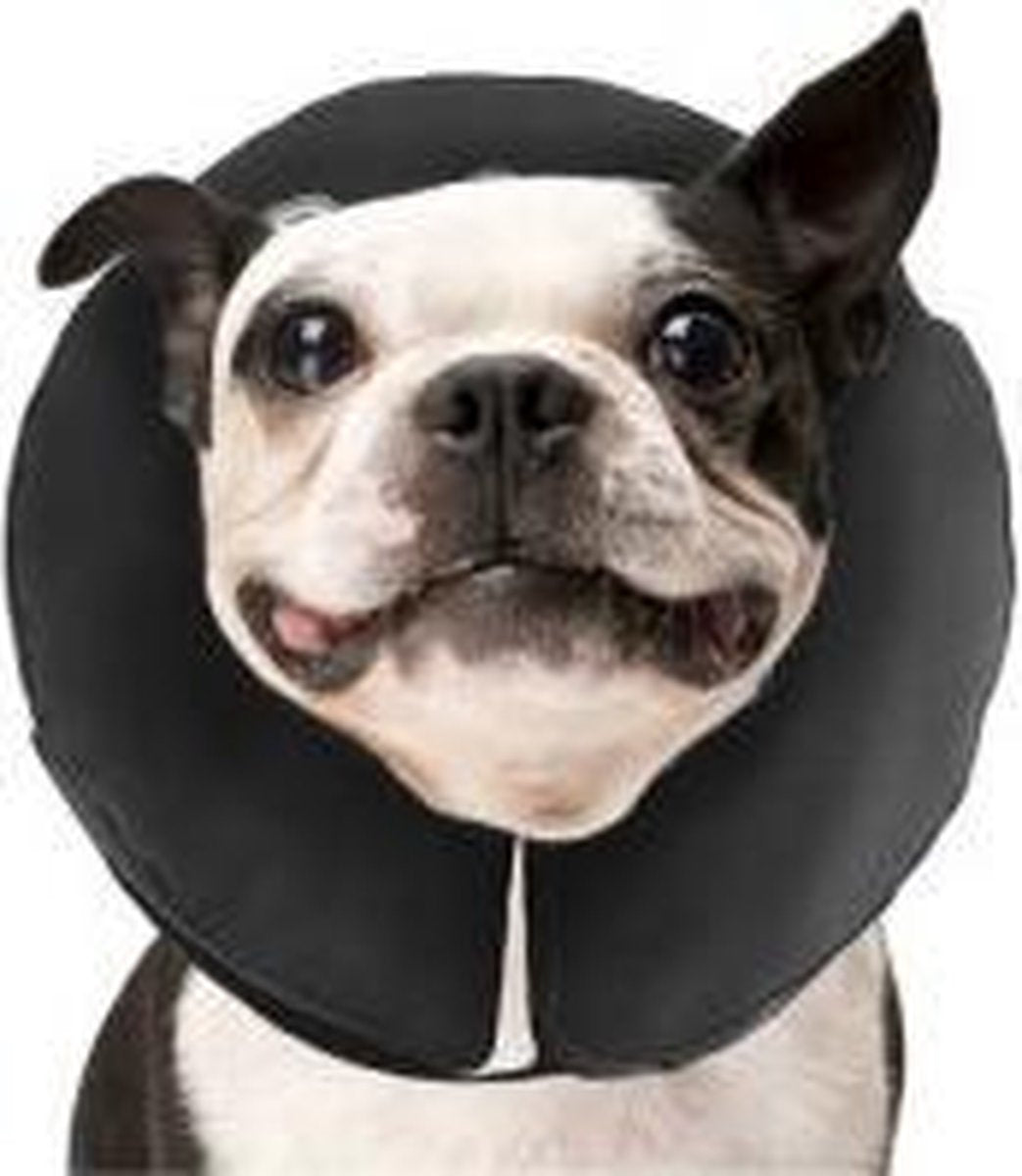 ZenPet Pro Collar - M