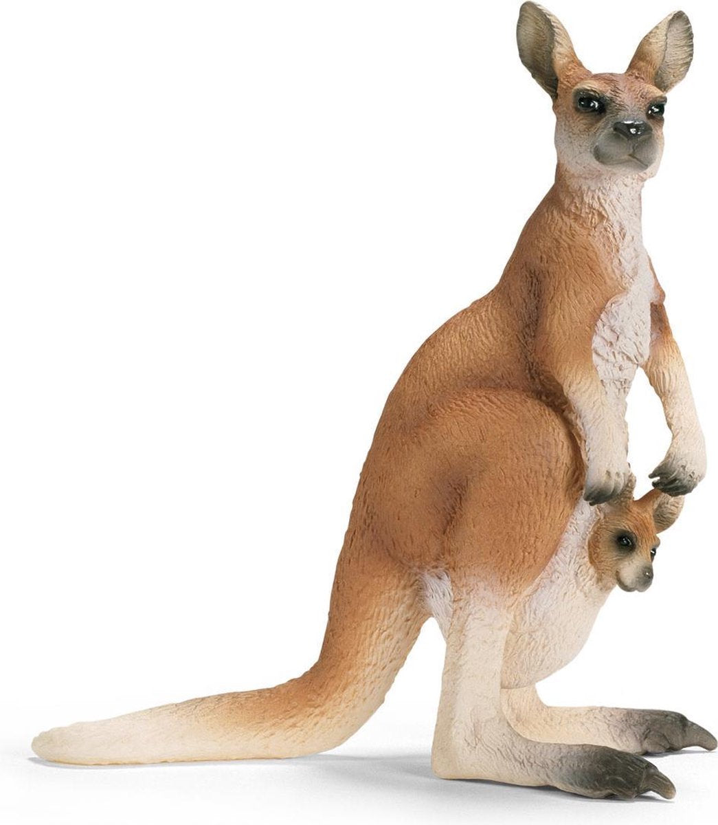 Kangoeroe