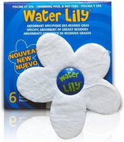 Water lily