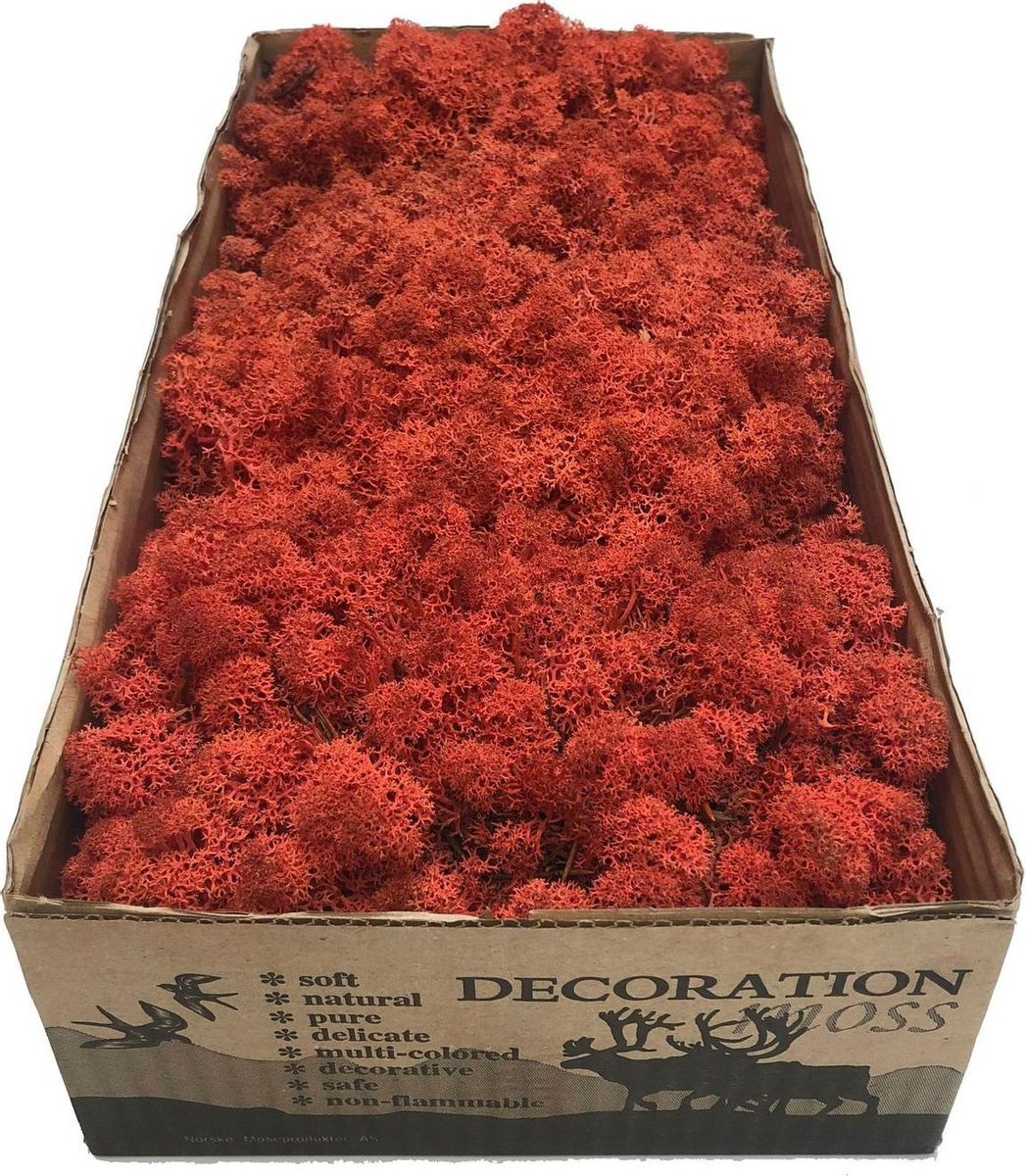 MosBiz Rendiermos Sienna per 500 gram voor decoraties