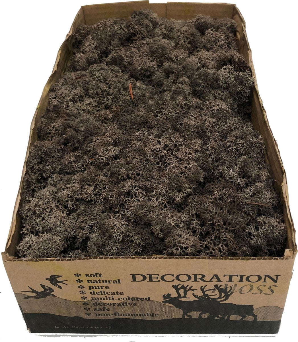 MosBiz Rendiermos Bruin per 500 gram voor decoraties