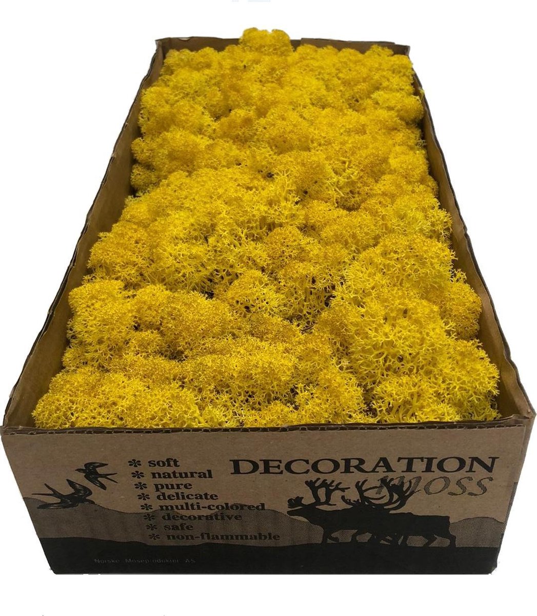 MosBiz Rendiermos Geel per 500 gram voor decoraties