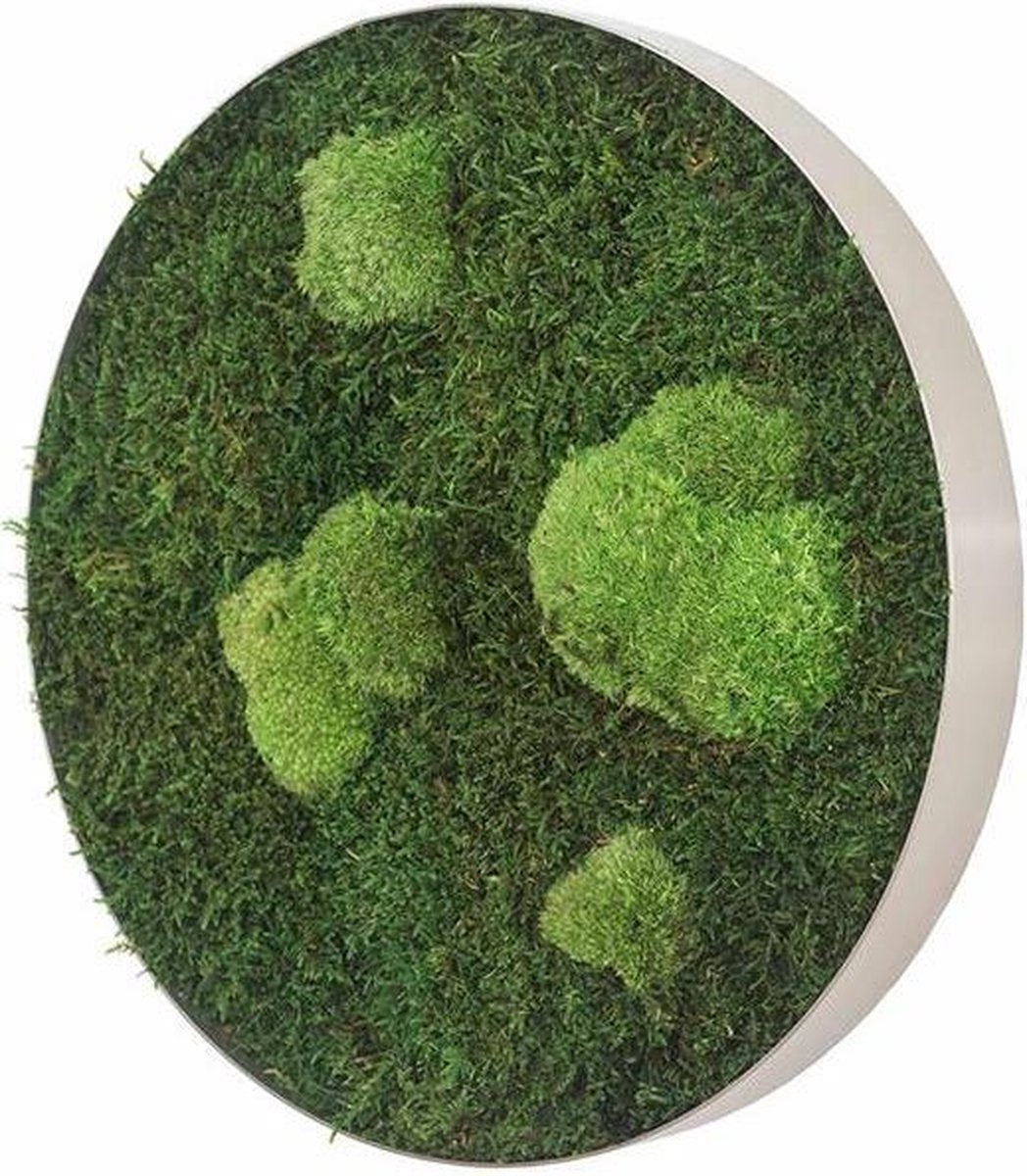 Stylegreen Ronde verticale tuin - Forest & Pole moss - Diameter 34cm