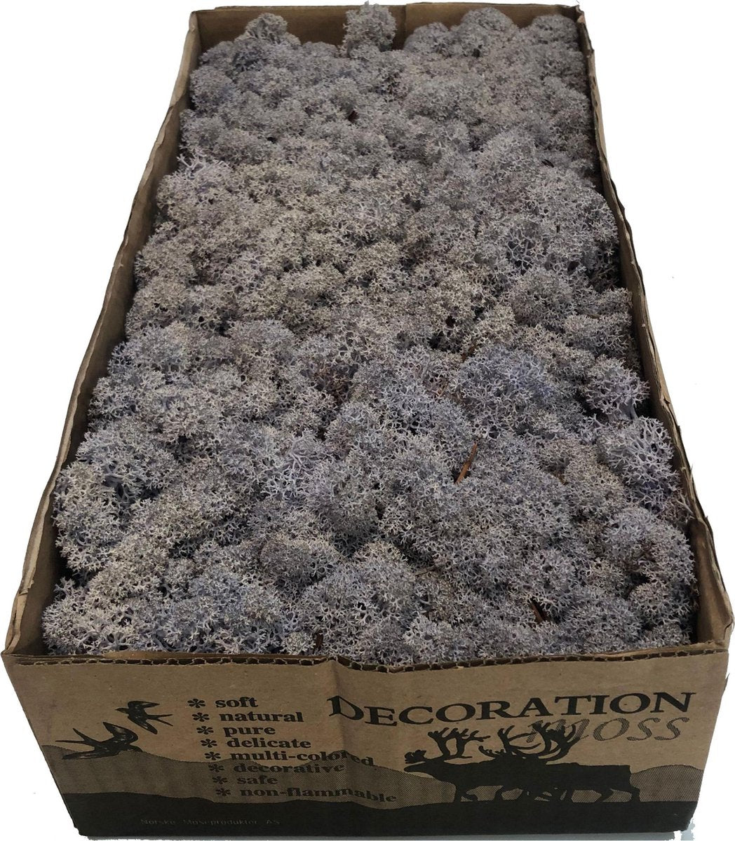 MosBiz Rendiermos Lavendel Blue per 500 gram voor decoraties