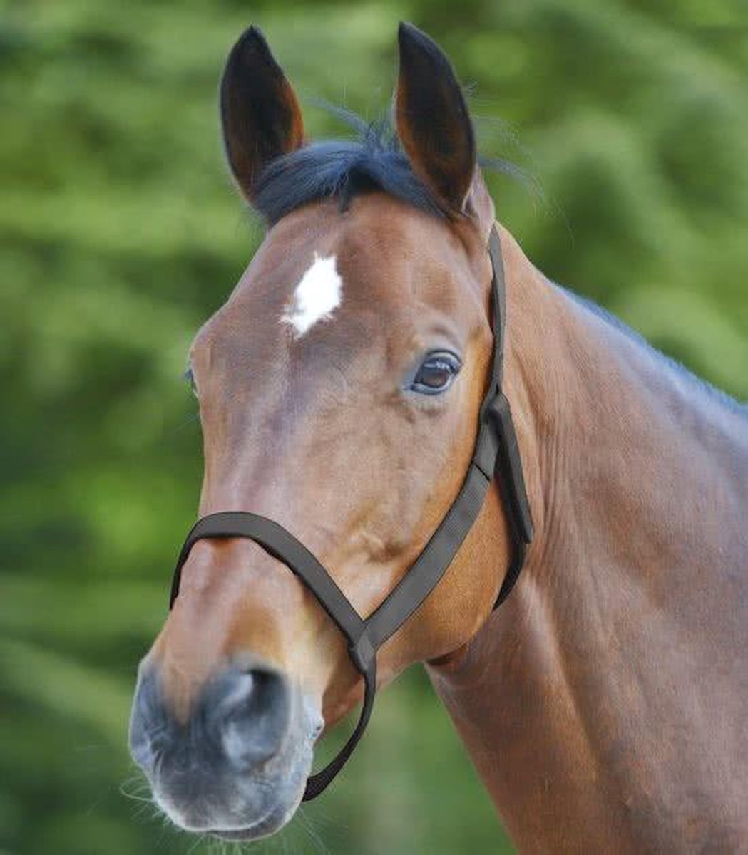 Weide Halster Maat Pony