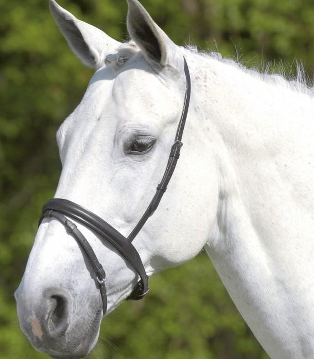 Star neusriem gecombineerd