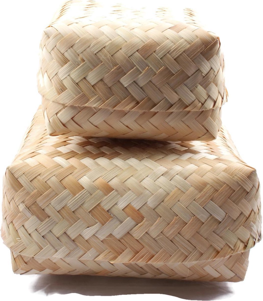 Kleine opbergmanden twee stuks van Rotan