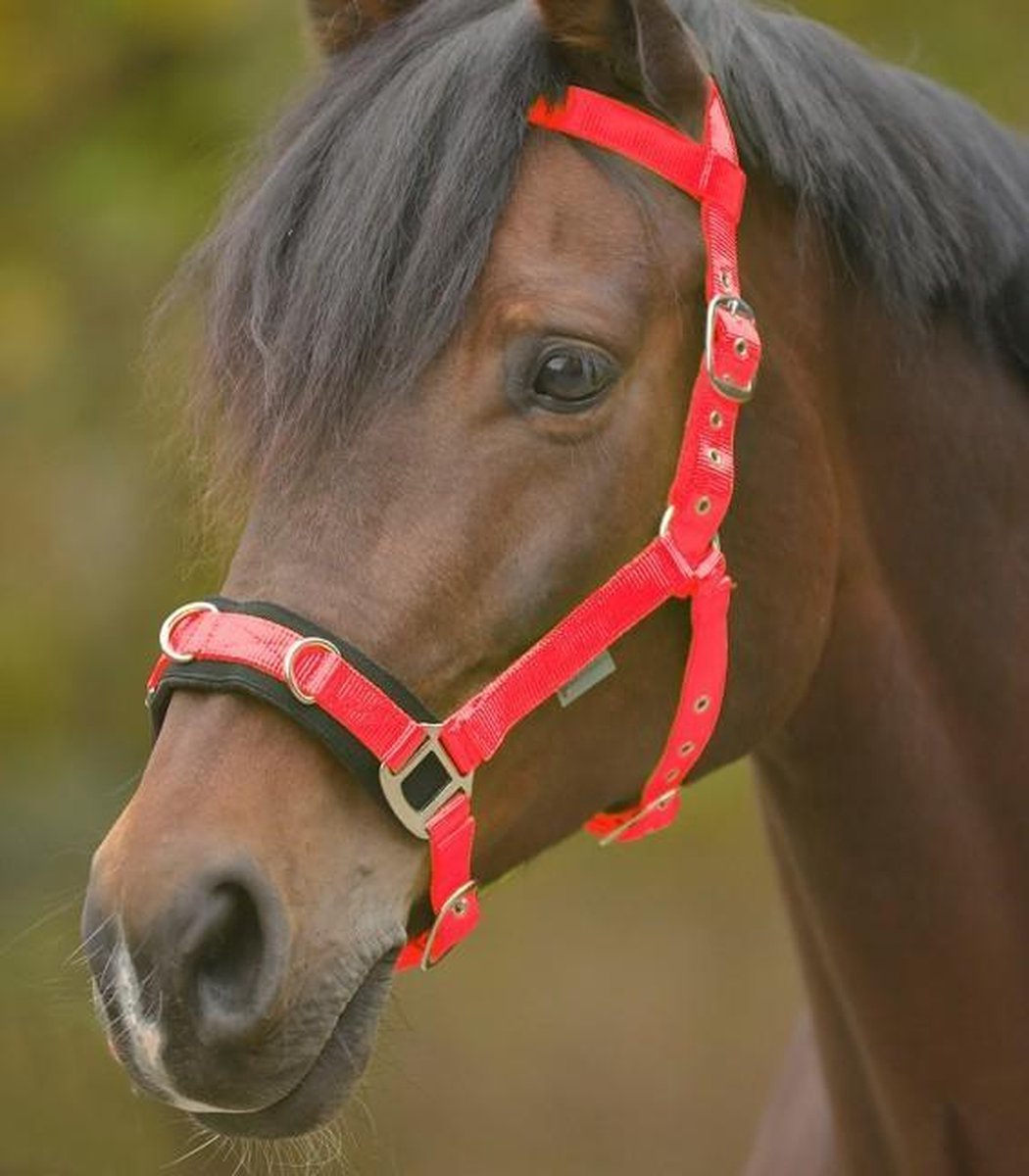 Nylon kaptoom rood maat cob