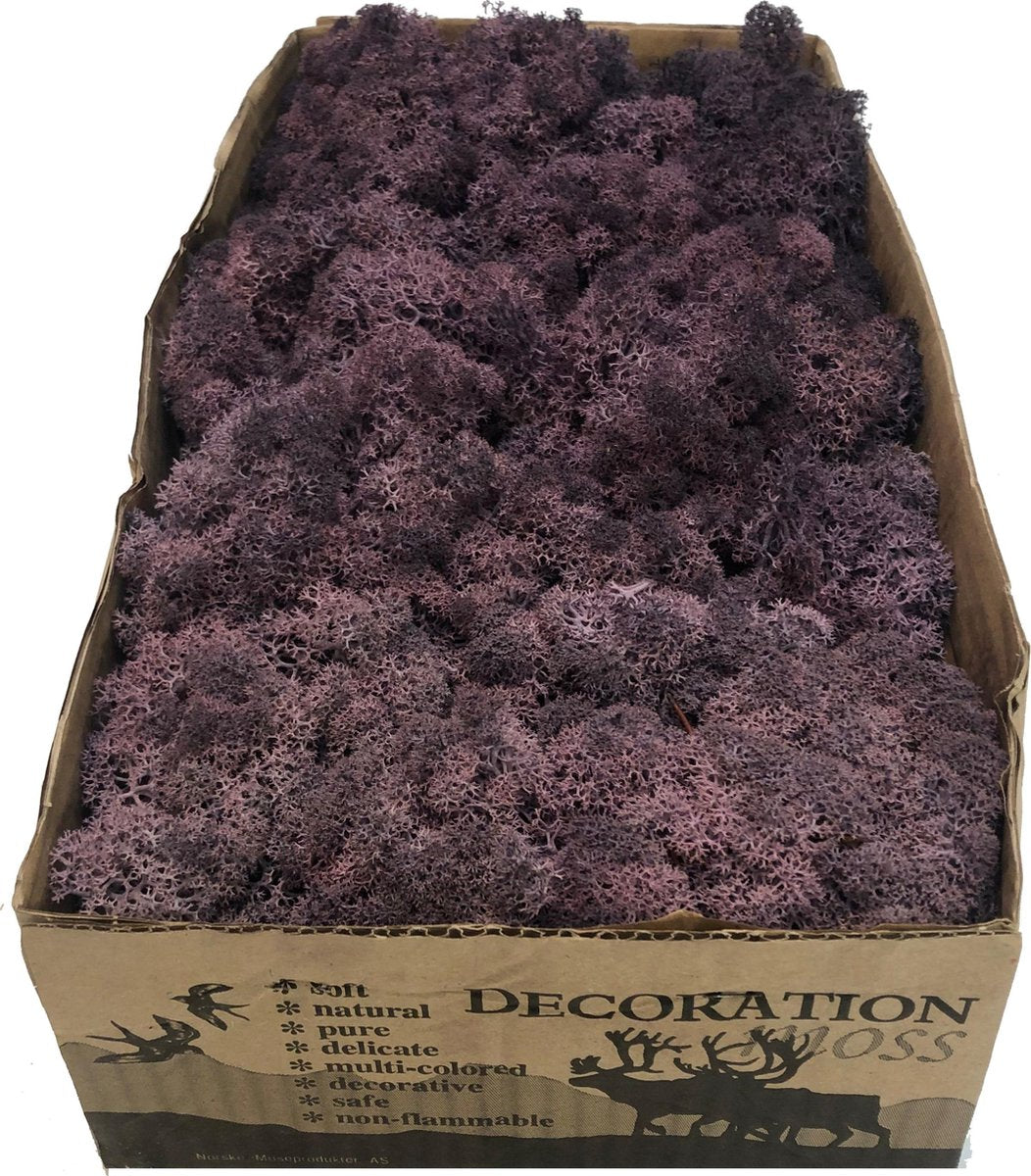 MosBiz Rendiermos aubergine per 500 gram voor decoraties