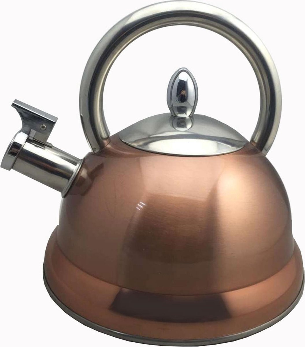 Baumalu Koperkleurige fluitketel - 2