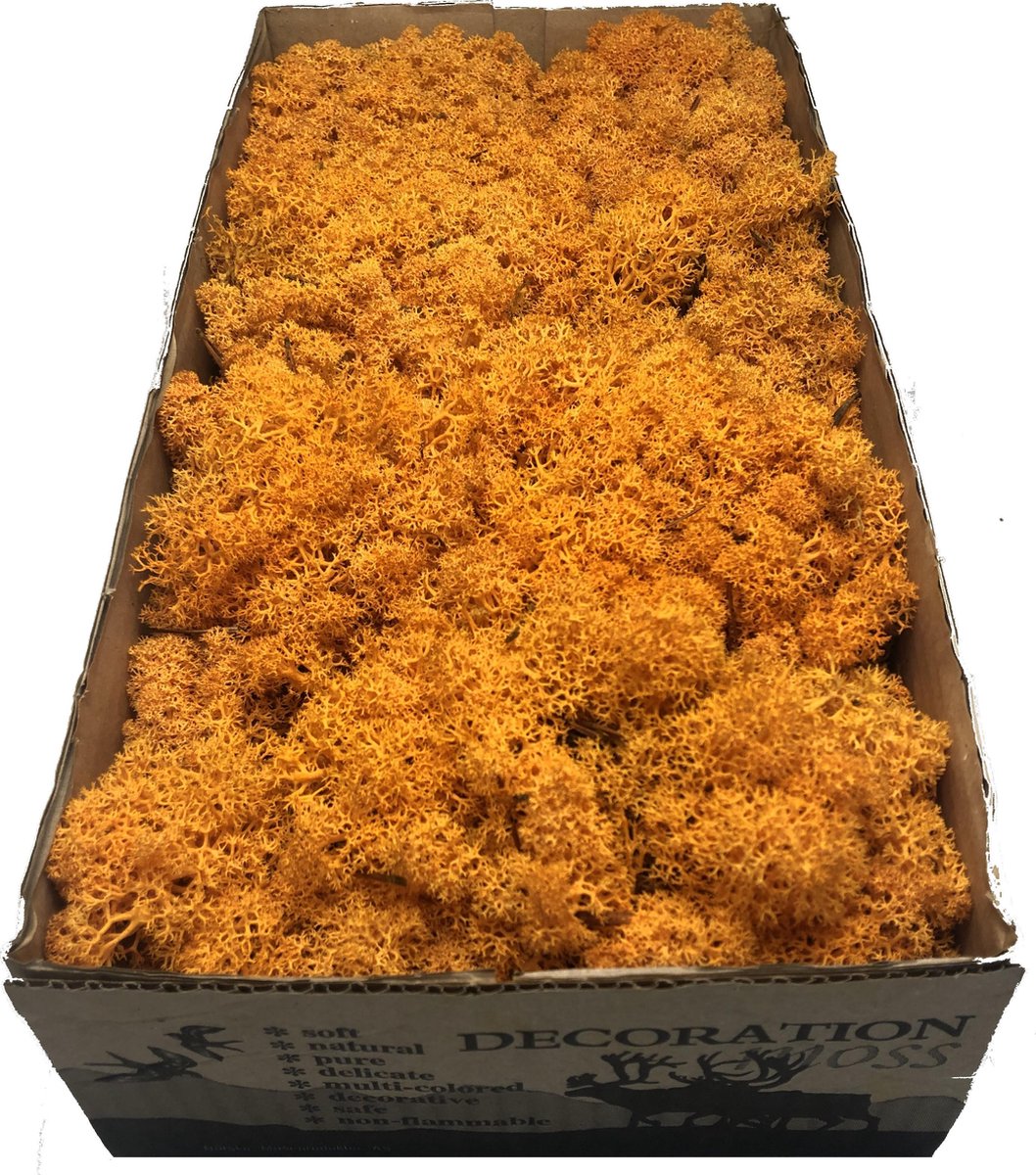 MosBiz Rendiermos oranje per 500 gram voor decoraties