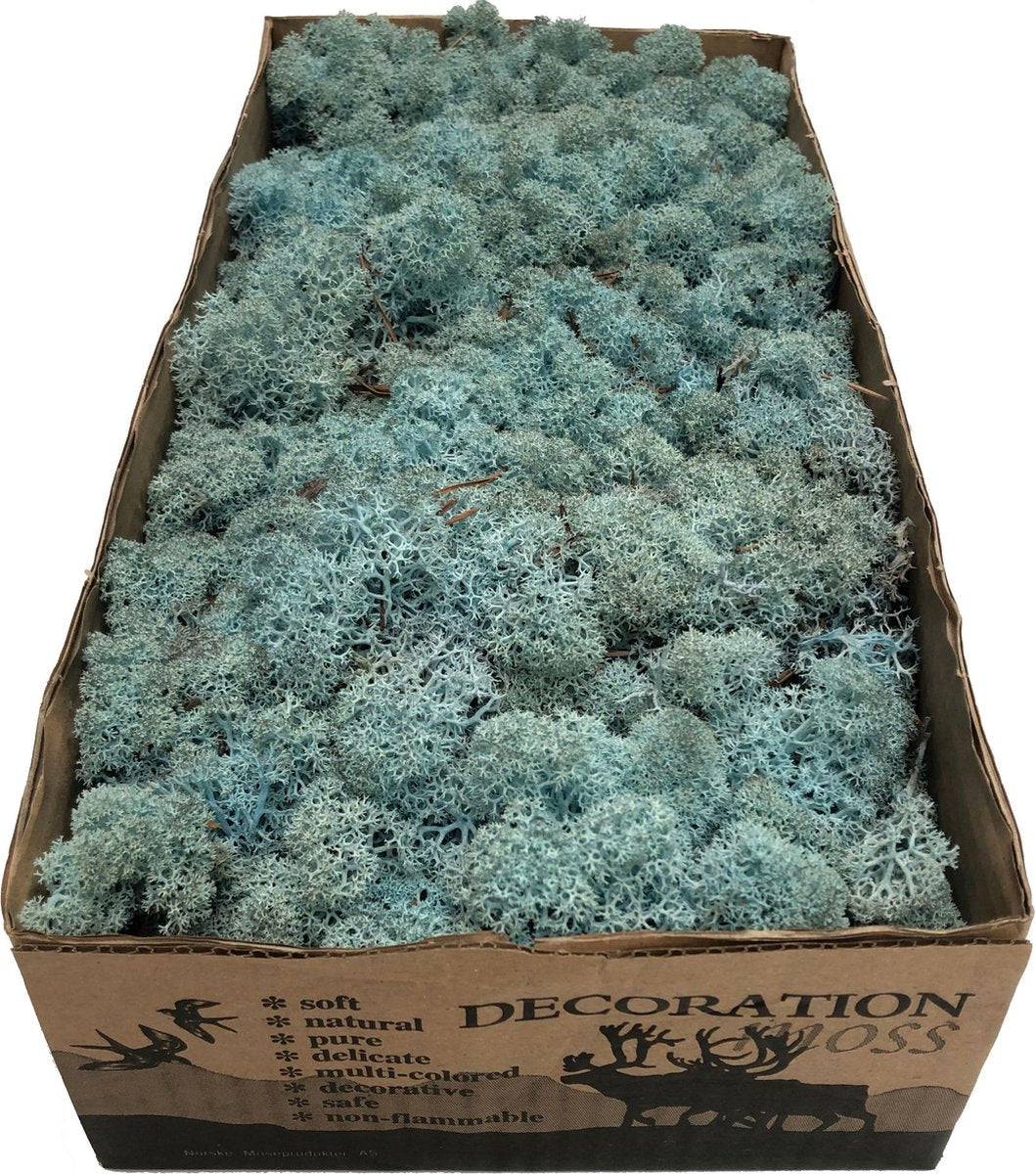 MosBiz Rendiermos Aqua Marijn per 500 gram voor decoraties