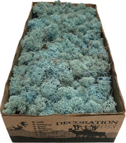 MosBiz Rendiermos Aqua Marijn per 500 gram voor decoraties