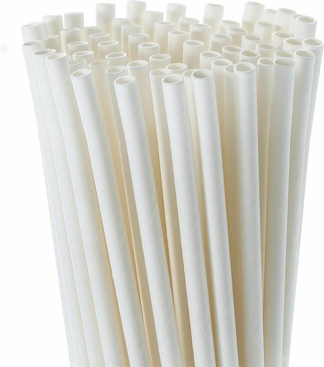 Doodadeals® | Witte Papieren Rietjes | Paper Straws | 25 stuks | 20 cm