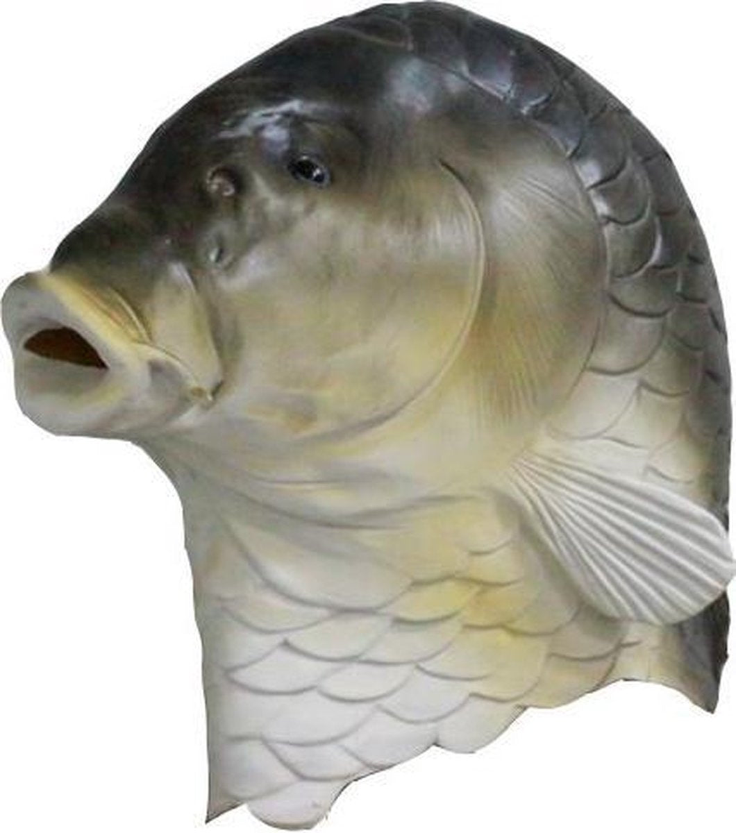 Vis masker 'karper'