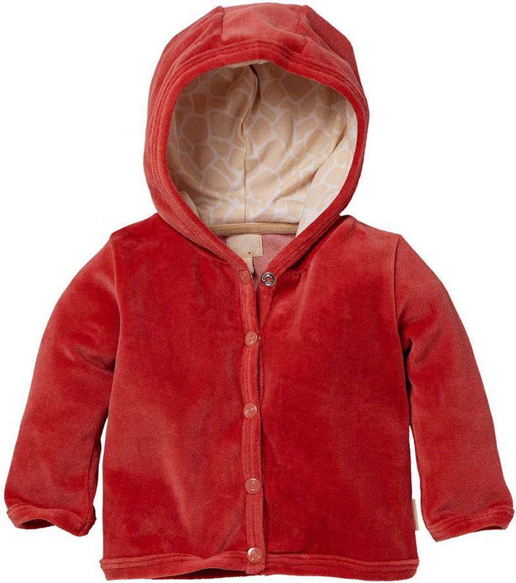 Quapi - Cardigan Nevi-56