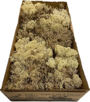 Mos | silvermos| rendiermos| 500gram |naturel