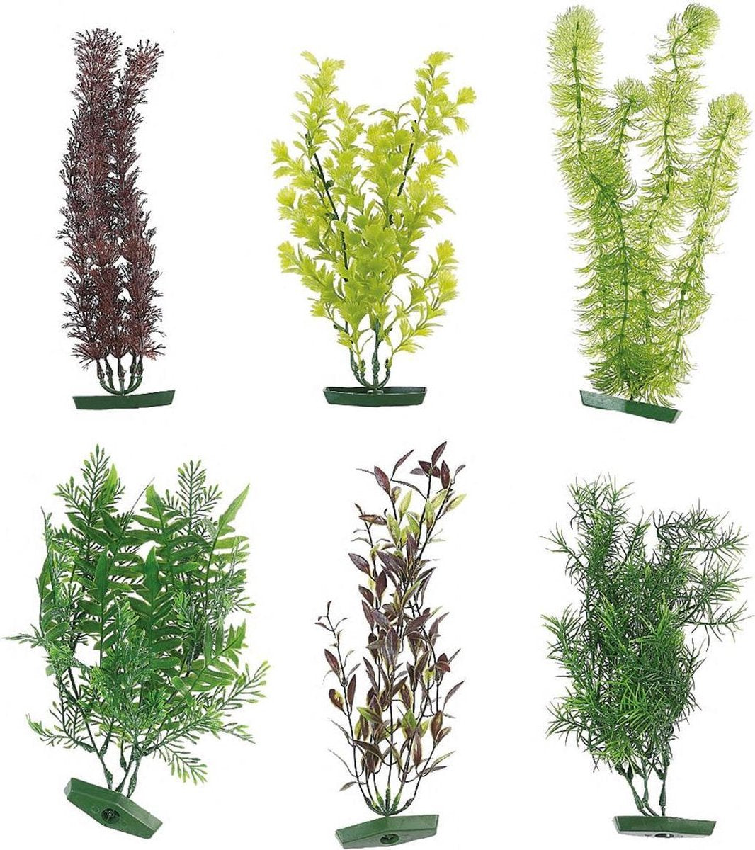 Flamingo Aquarium plant assortiment - Willekeurig - 30 cm