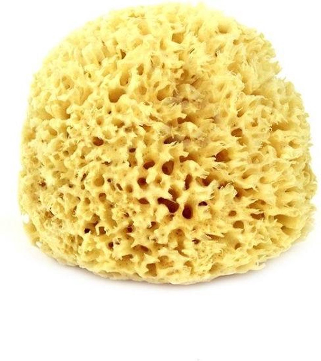 Natuurspons Medium