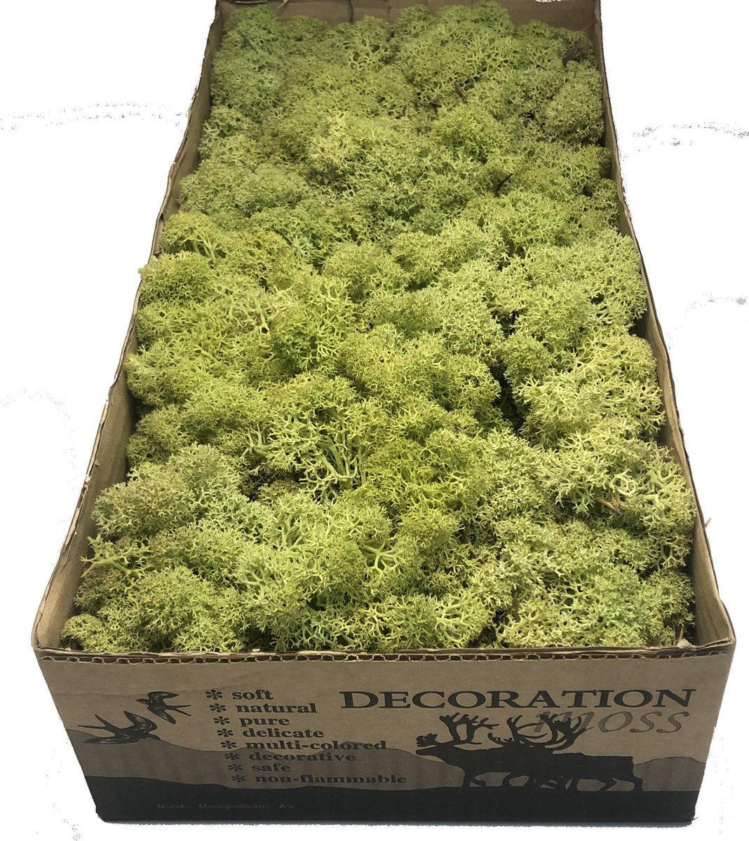 MosBiz Rendiermos oud groen per 500 gram voor decoraties