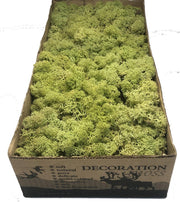 MosBiz Rendiermos oud groen per 500 gram voor decoraties
