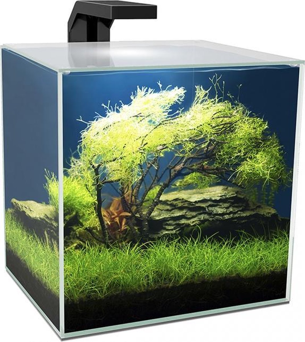 Ciano Aquarium cube 15 led 14L
