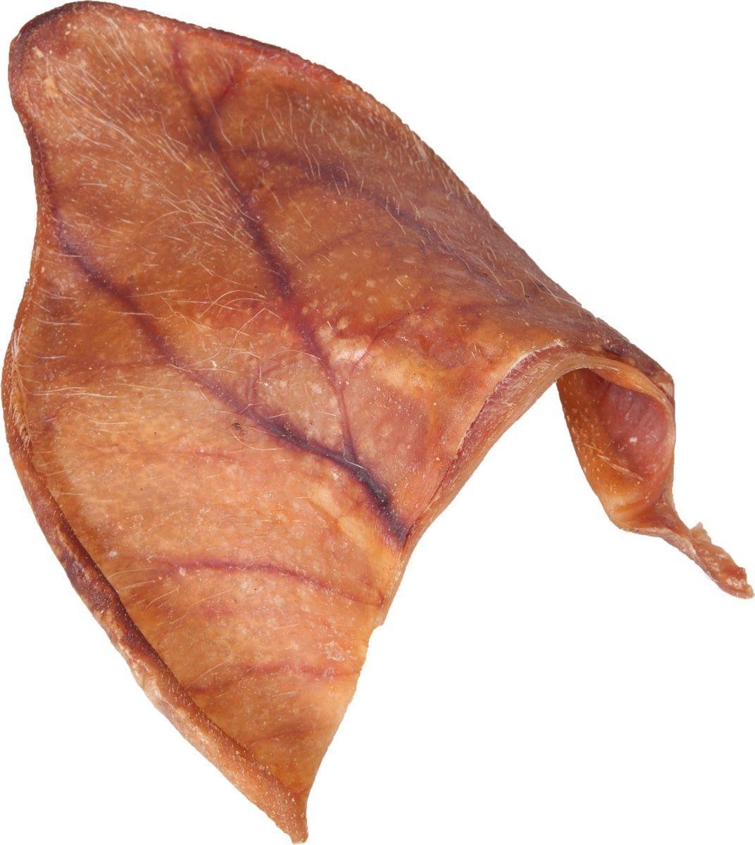 Zooselect Hondensnack Nature Varkensoren 5 stuks