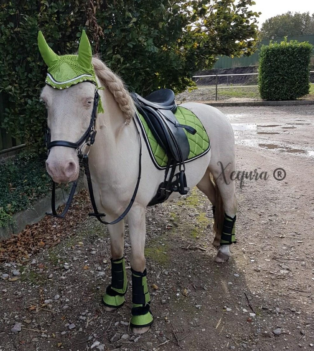 Shine Lime - Paard Pony COB - Complete set - Dekje