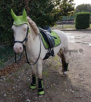 Shine Lime - Paard Pony COB - Complete set - Dekje