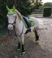 Shine Lime - Pony - Complete set - Dekje