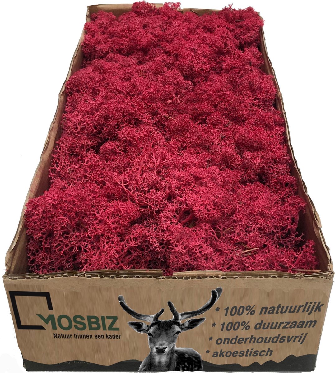 MosBiz Rendiermos crimson per 500 gram voor decoraties