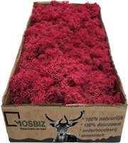 MosBiz Rendiermos crimson per 500 gram voor decoraties