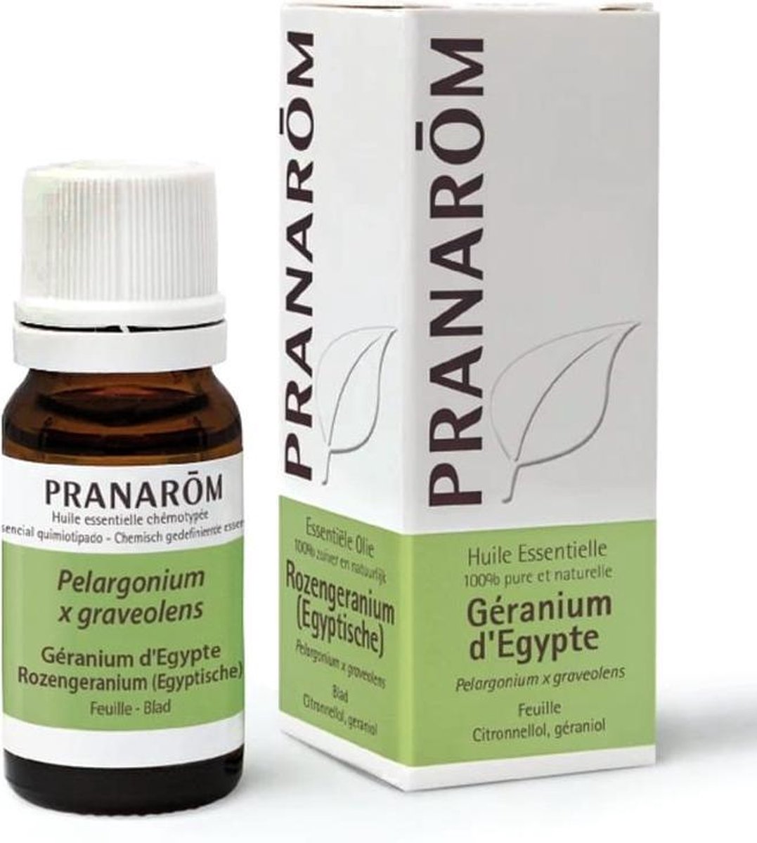 Pranarom Etherische Olie Rozengeranium (Egyptische)