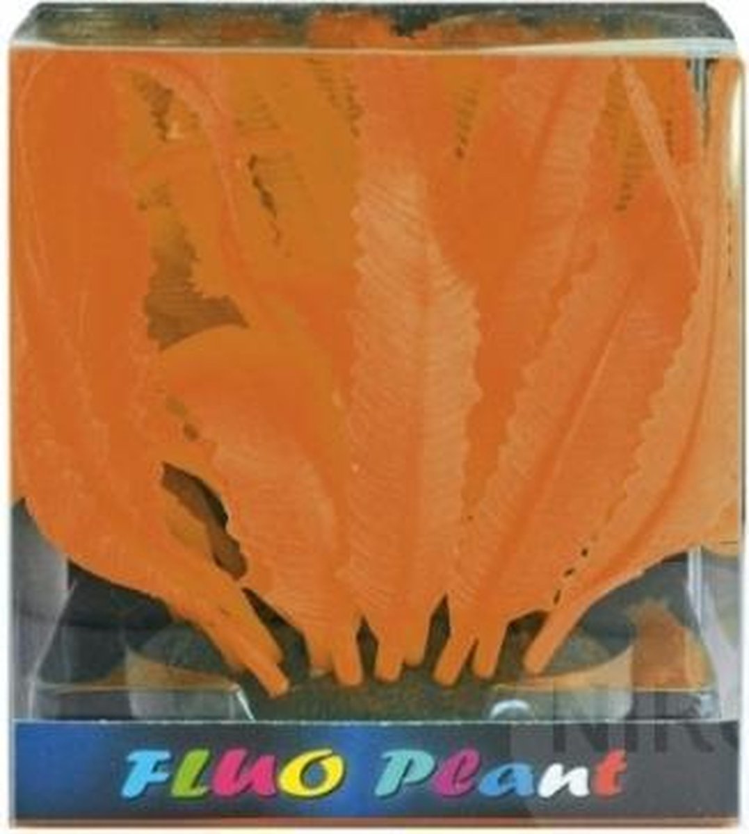SF FLUO GORGONIA ORANJE