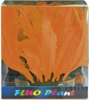 SF FLUO GORGONIA ORANJE