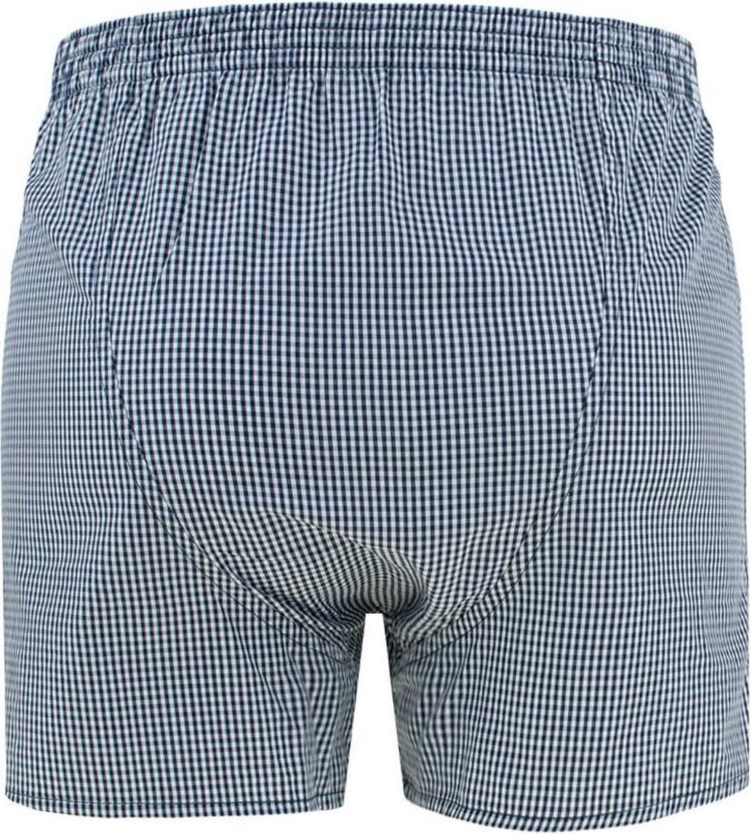 DEAL boxershort kleine ruit blauw 192153