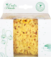 Natuur Spons in Eco cadeau verpakking - maat M 11 cm - cadeau