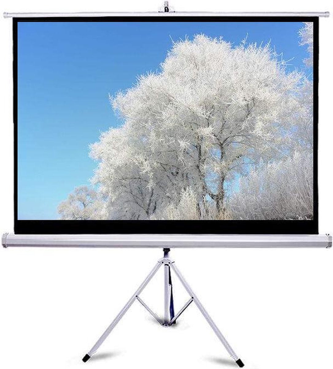 Beamerscherm op statief 80" - 177 x 99 cm - 16:9 - projectiescherm op tripod - wit