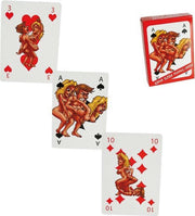 Playing Cards Kamasutra Sex Speelkaarten24 Pcs