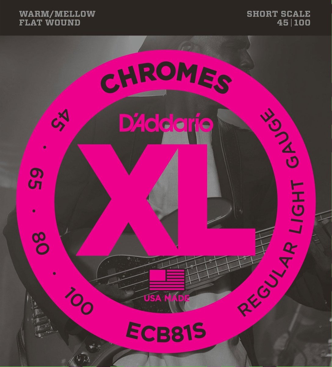 ECB81S 45-100 Chromes Flatwound Stainless Steel