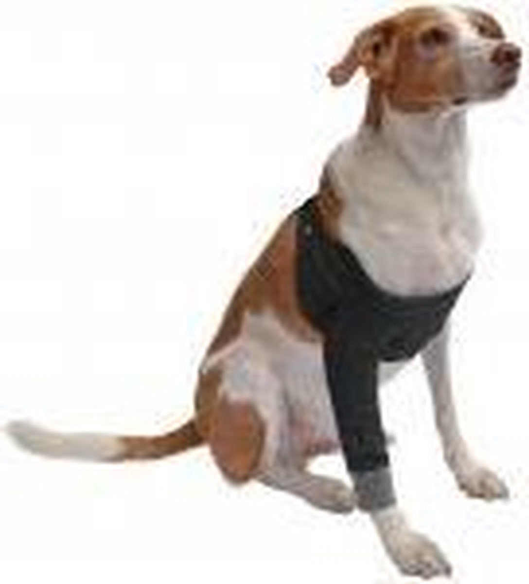 Voorpootbeschermer voor honden - Maat XXL: Borstomvang 92-116 cm