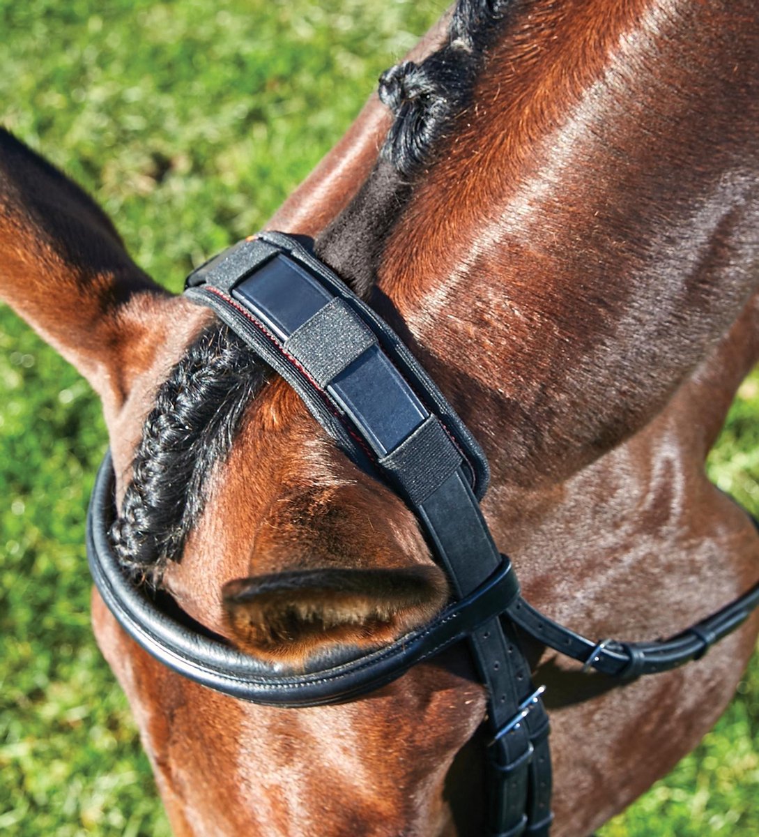 RelaxPets - Weatherbeeta - Therapy-Tec - Poll Pad - Hoofdstel Onderlegger - Zwart - Cob