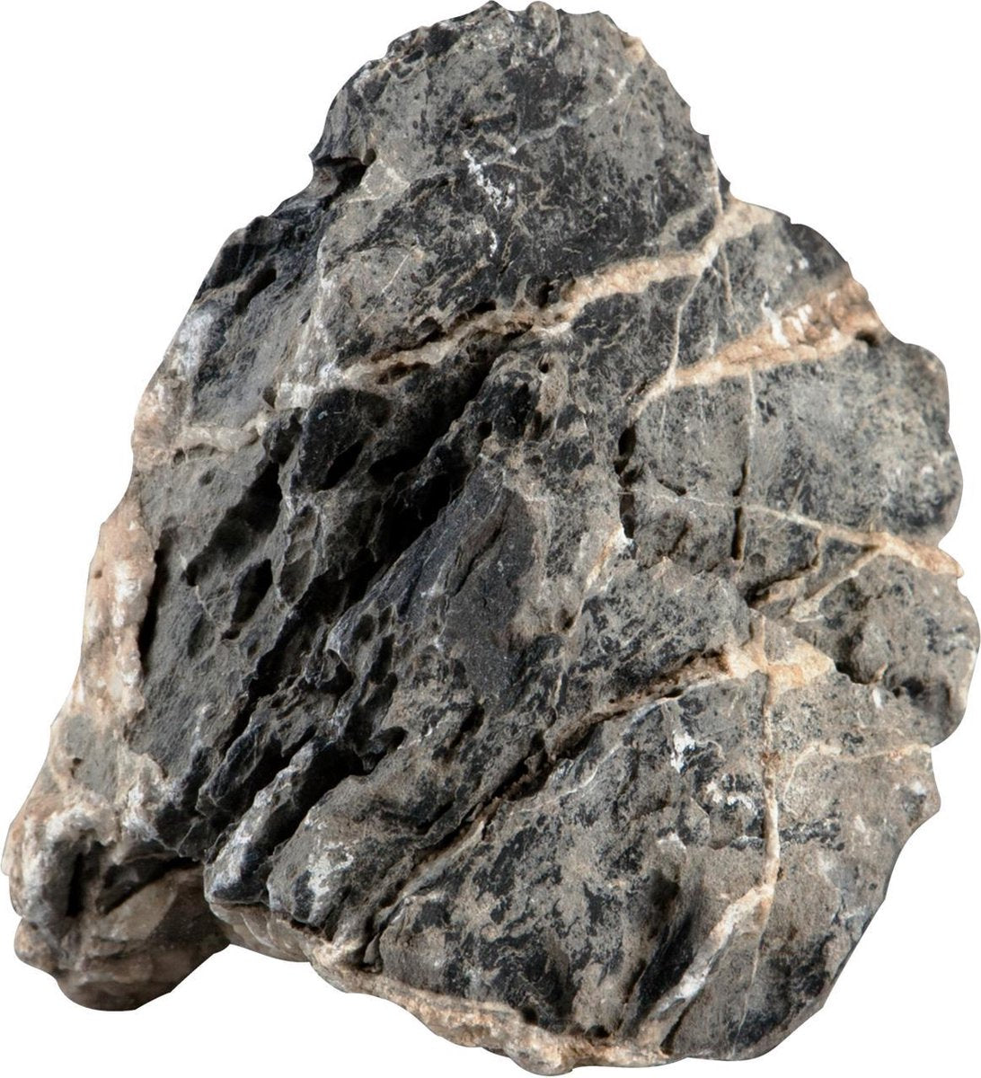Sera Donkergrijze natuursteen met witte insluitsels Rock Quartz Gray L • 2 – 3 kg