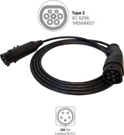Metron Type 2 Portable Laadpunt voor Rode CEE - 16A 3 fase 3 fase 16A met 16A CEE rood muurstekker - 9 meter zwart