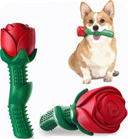 TDR - Bijtspeelgoed voor Honden - Goed voor tanden - Niet giftig en duurzaam TPE -vorm van een Roos