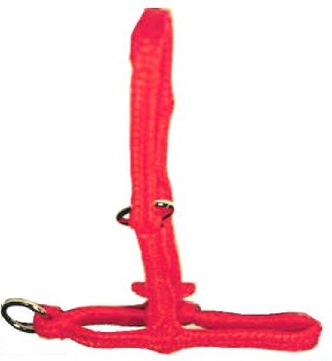 Polyhalster oranje koe