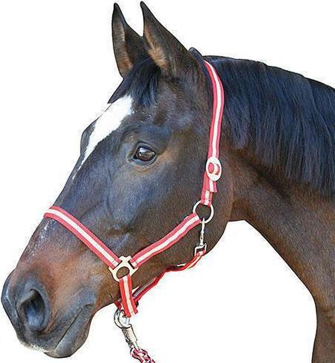 Kerbl Halster Hippo Rood/ Beige 2 Cob
